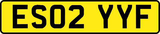 ES02YYF
