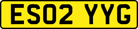 ES02YYG