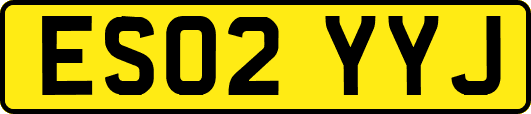 ES02YYJ