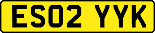 ES02YYK