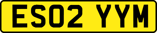 ES02YYM