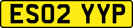 ES02YYP