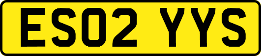 ES02YYS