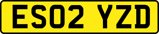 ES02YZD