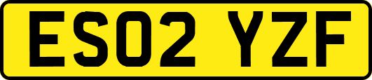 ES02YZF