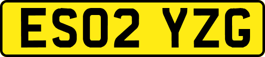 ES02YZG