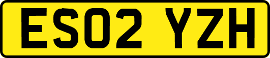 ES02YZH