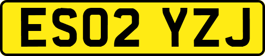 ES02YZJ
