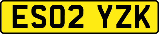 ES02YZK