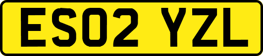 ES02YZL