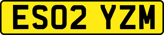 ES02YZM
