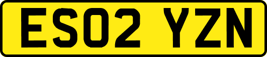 ES02YZN