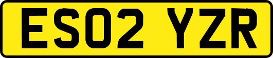 ES02YZR