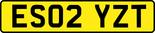 ES02YZT