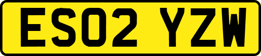ES02YZW