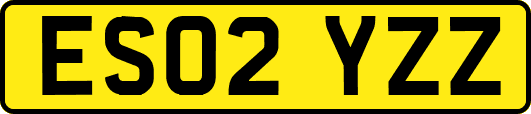 ES02YZZ