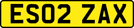ES02ZAX
