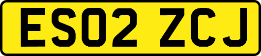 ES02ZCJ