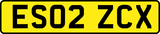 ES02ZCX