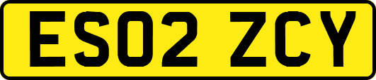 ES02ZCY