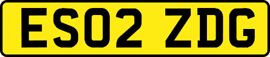 ES02ZDG