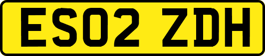 ES02ZDH
