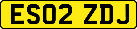 ES02ZDJ