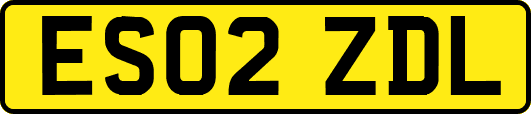 ES02ZDL
