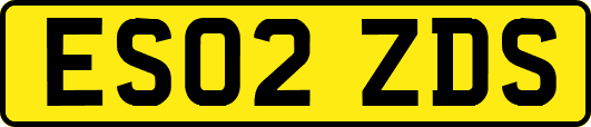 ES02ZDS