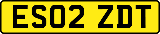 ES02ZDT