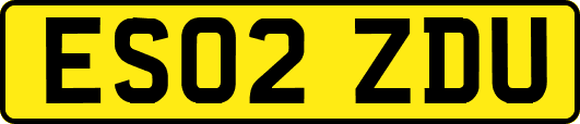 ES02ZDU