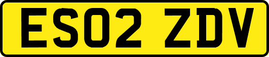 ES02ZDV