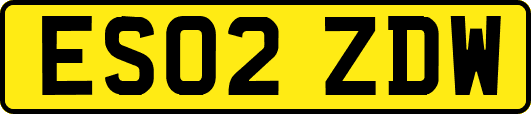 ES02ZDW