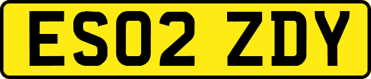 ES02ZDY