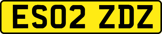 ES02ZDZ