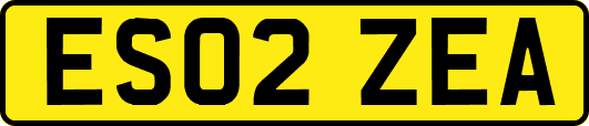 ES02ZEA