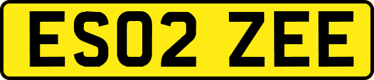 ES02ZEE