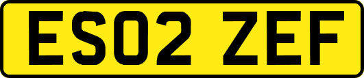 ES02ZEF