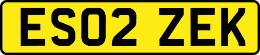 ES02ZEK