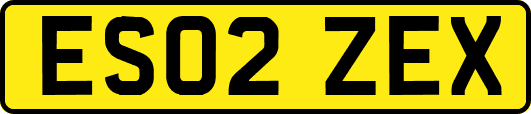 ES02ZEX