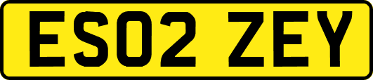 ES02ZEY