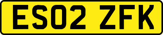 ES02ZFK