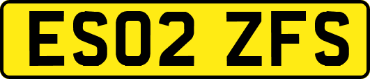 ES02ZFS