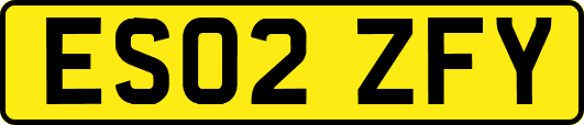 ES02ZFY