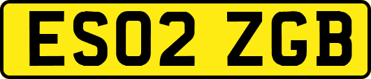 ES02ZGB
