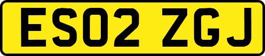 ES02ZGJ