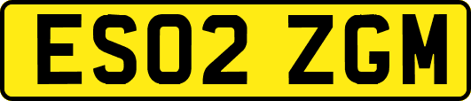 ES02ZGM