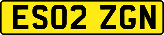 ES02ZGN