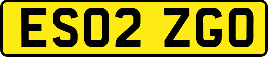 ES02ZGO