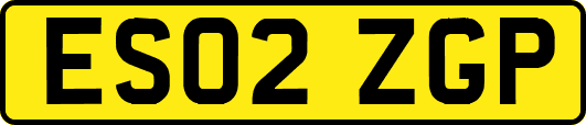 ES02ZGP